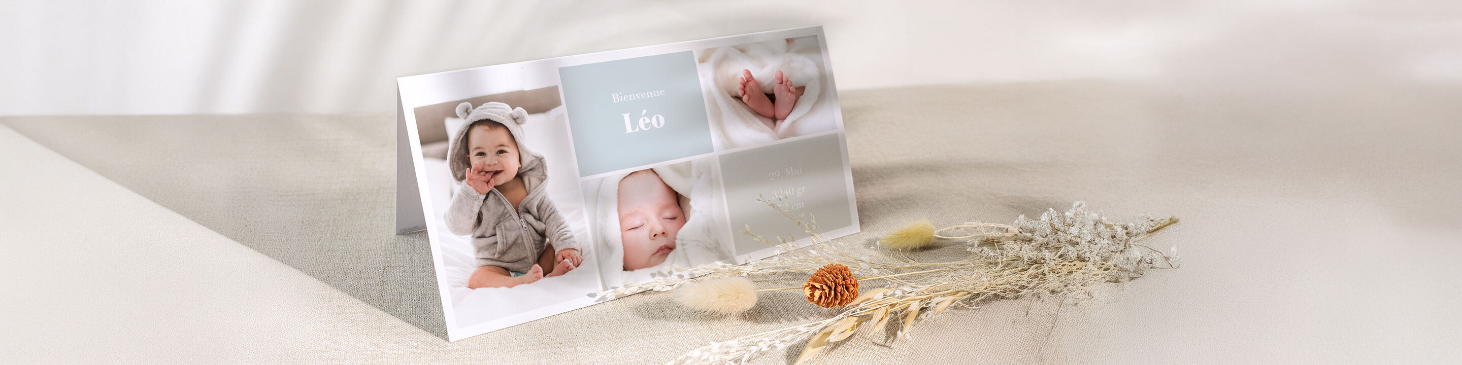 Magnifique album photo avec des photos de bébé et décoration.