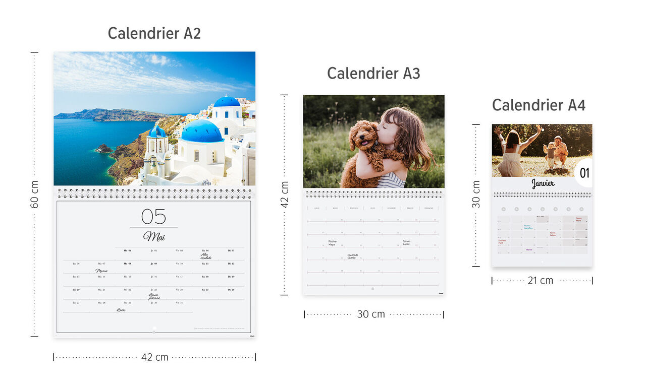 Trois tailles de calendriers photo CEWE avec différentes images et designs: paysage et animal de compagnie.