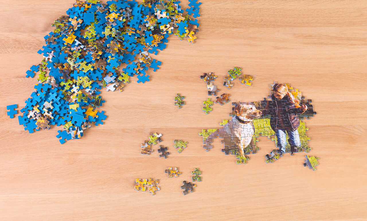 Un puzzle presque terminé montrant un chien et un enfant dans une prairie. Des morceaux de puzzle sont éparpillés.