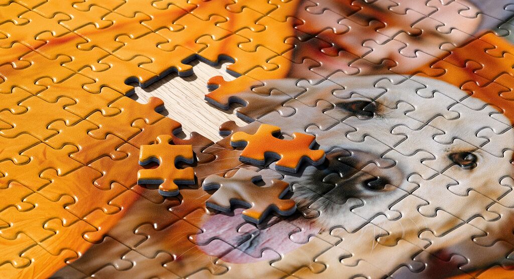 Un puzzle presque terminé avec un chien et un homme souriant. Une pièce de puzzle n'est pas insérée.