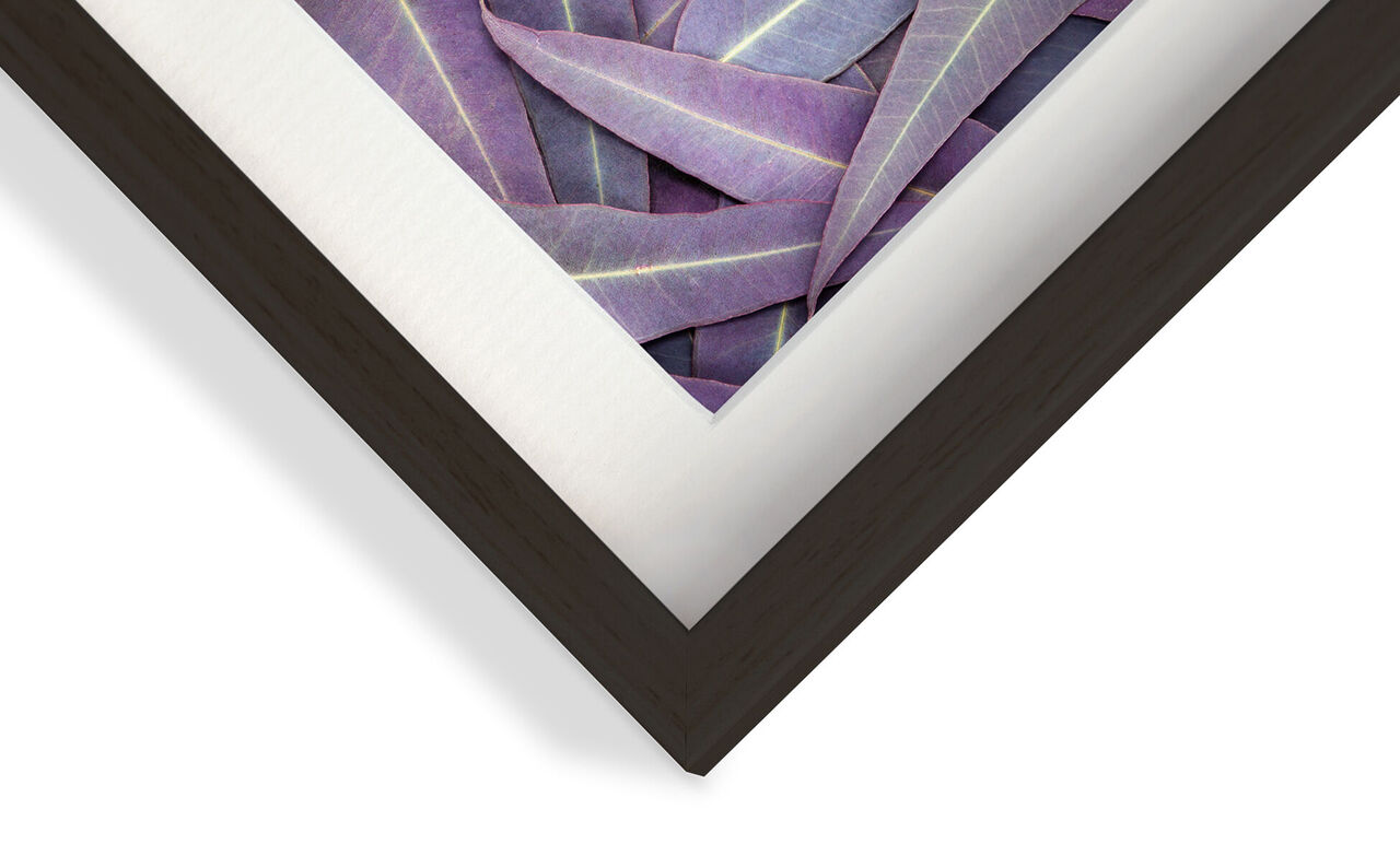 Vue détaillée d'un cadre de qualité avec des feuilles violettes.