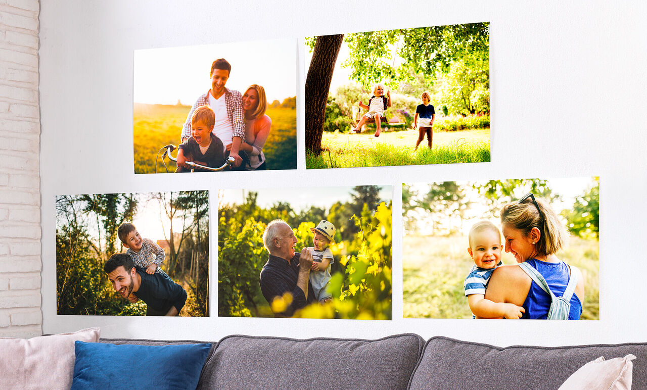 De magnifiques photos de famille brillent sur un mur en plein air au soleil.