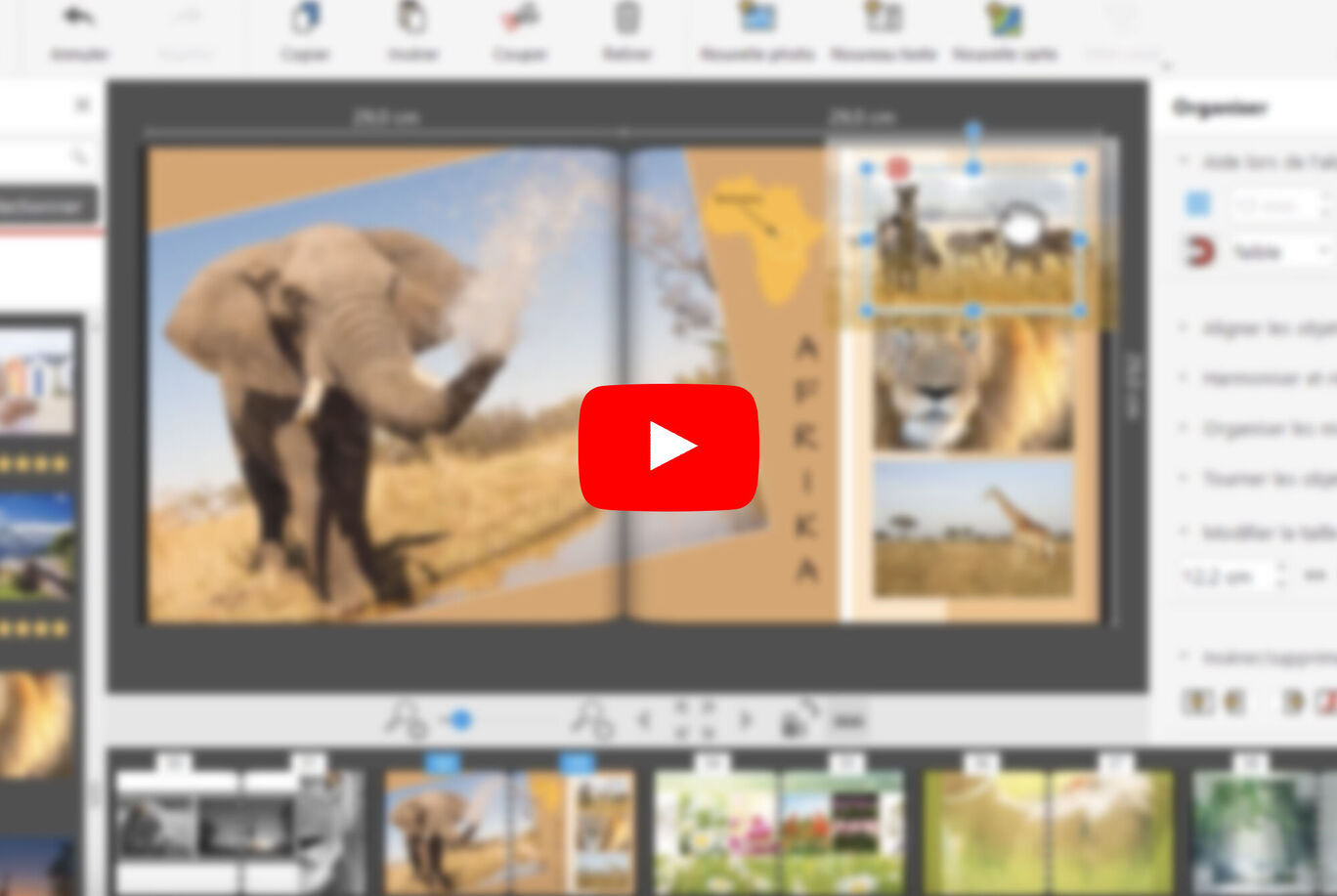 Une capture d'écran d'un album photo numérique avec un éléphant à gauche et un lion à droite.