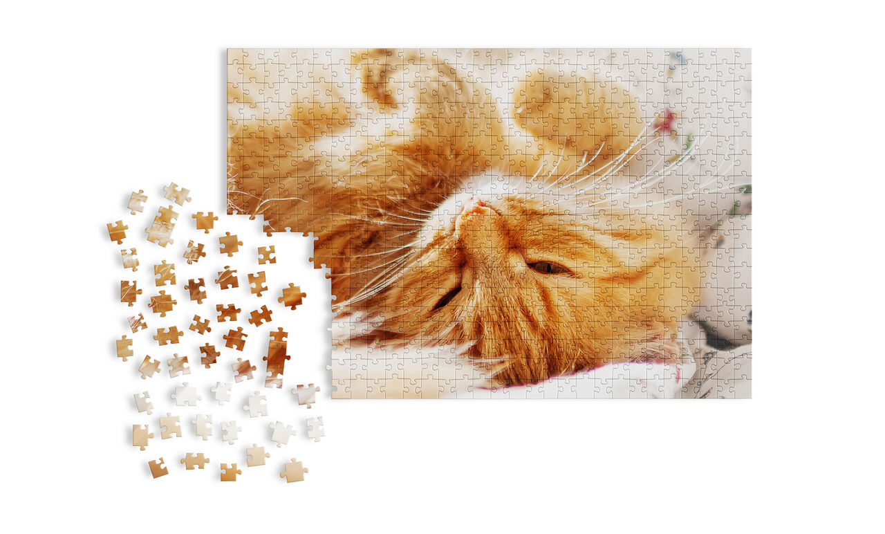 Puzzle personnalisé avec un chat roux couché et pièces assorties