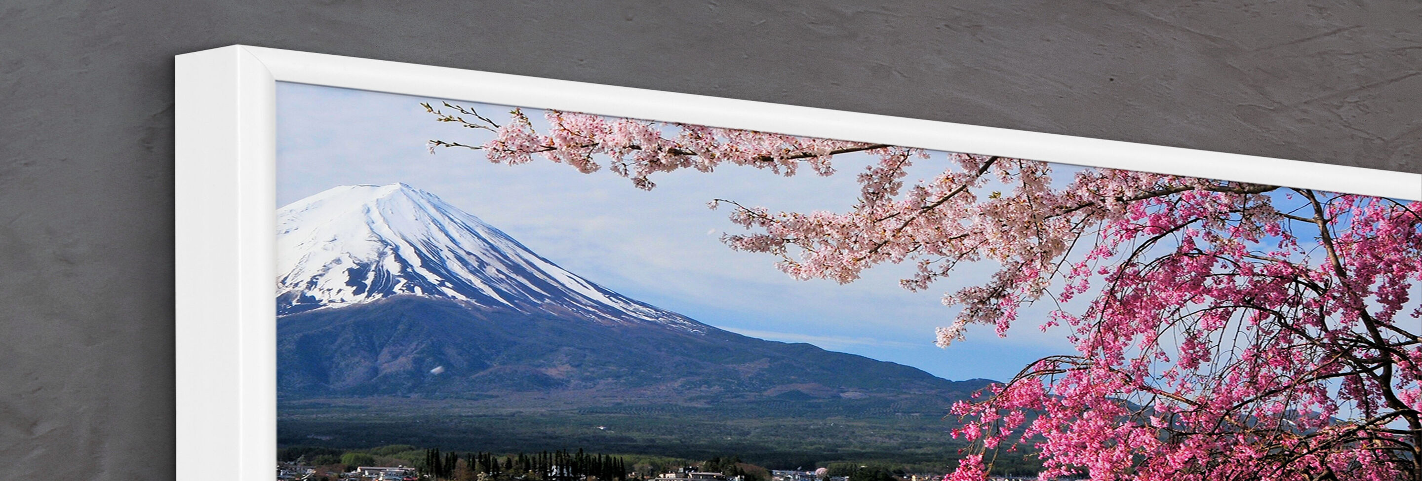 Cerisier en fleurs avec le Mont Fuji en arrière-plan, ciel dégagé.
