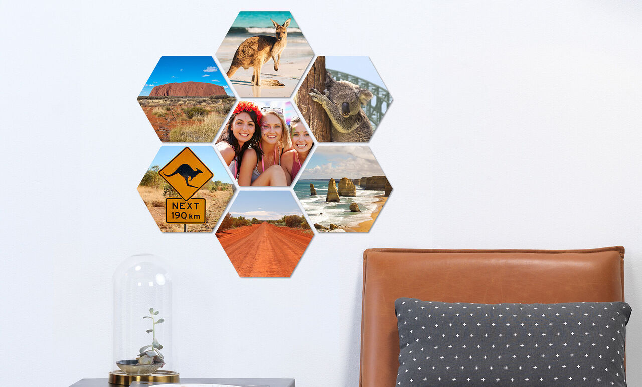 Collage photo hexagonal avec des souvenirs de voyage, comprenant des photos d'animaux et de paysages.
