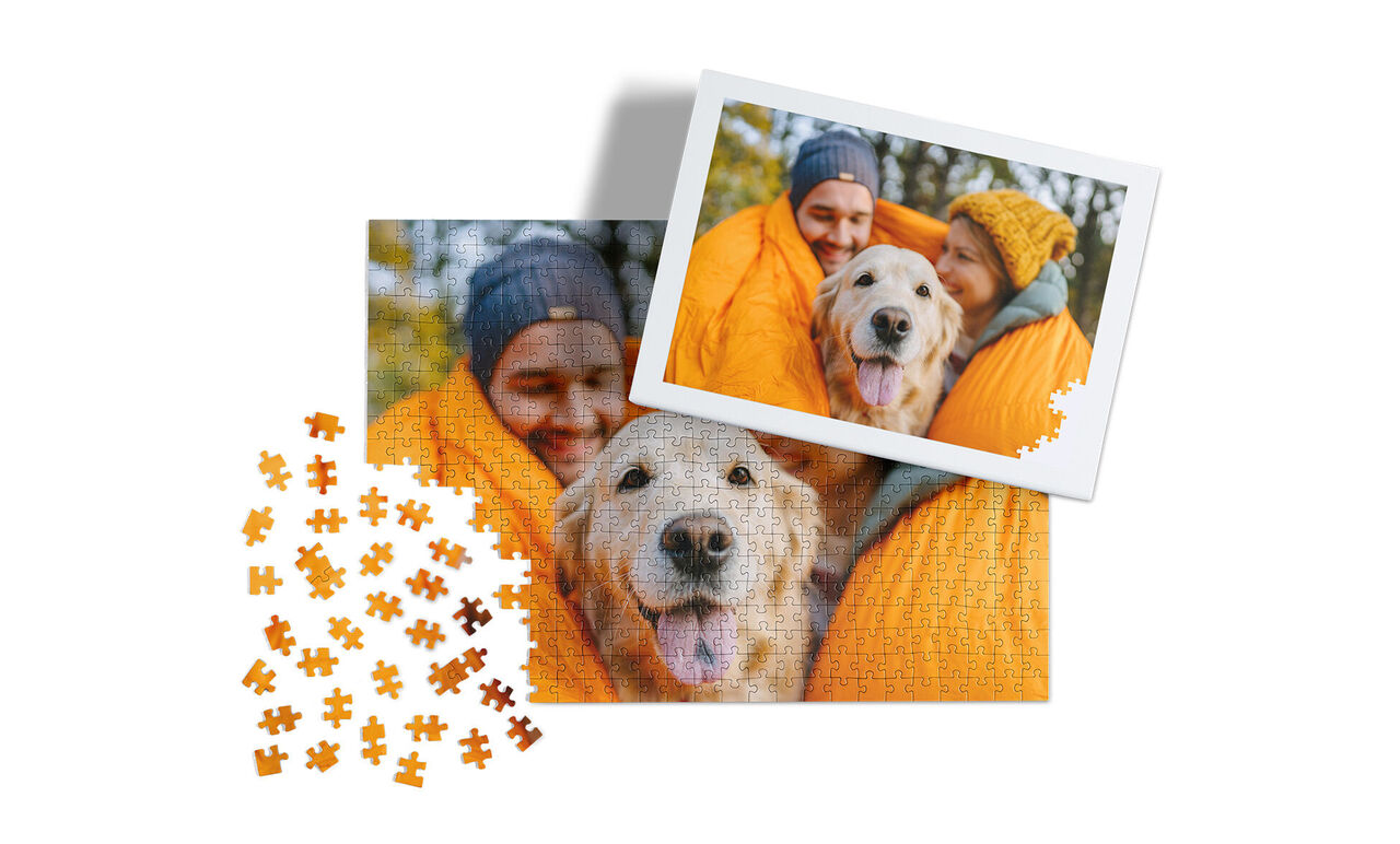 Deux chiens heureux dans une couverture colorée, entourés de pièces de puzzle.