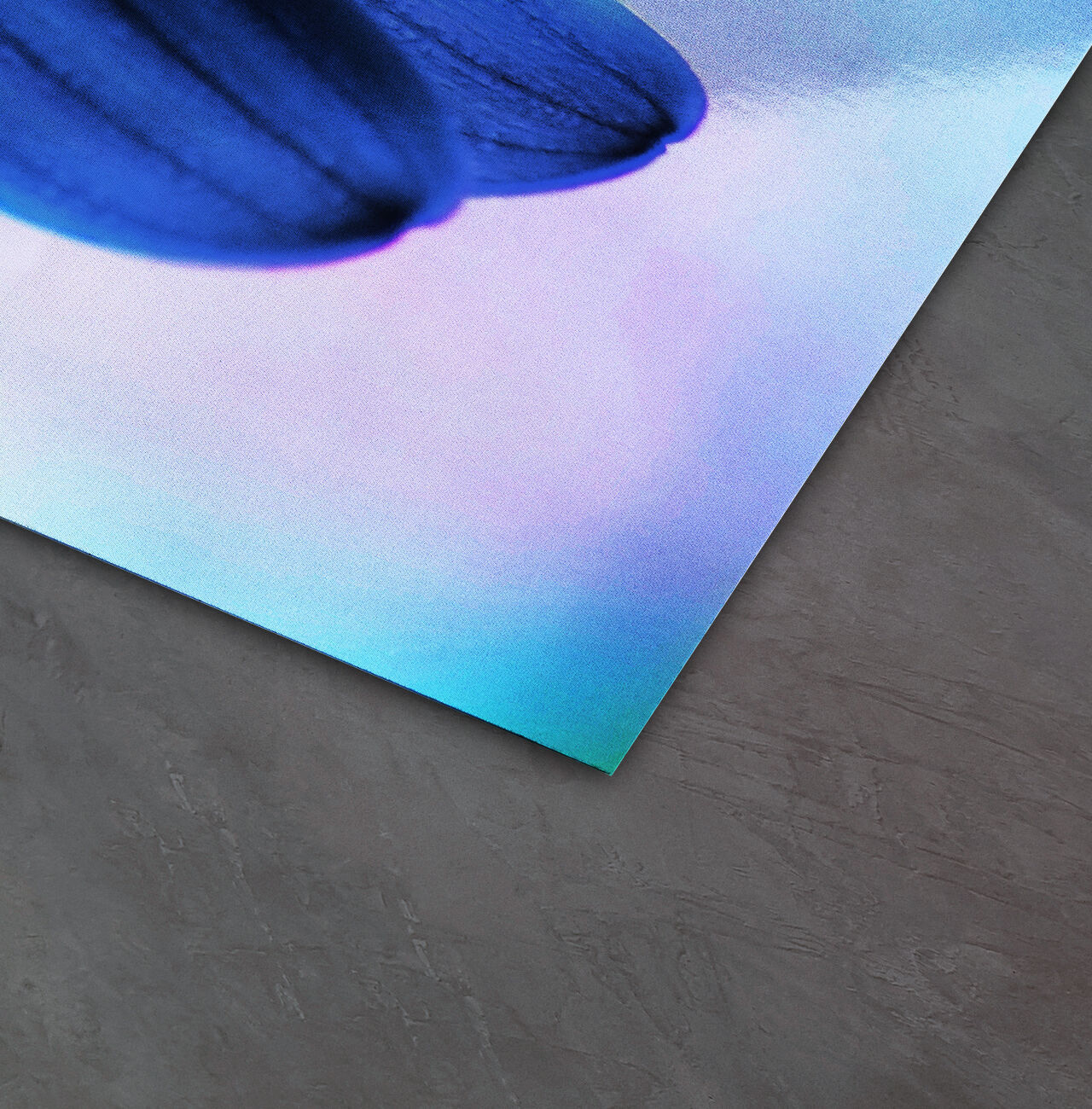 Impression colorée d'une pétale sur du papier de haute qualité