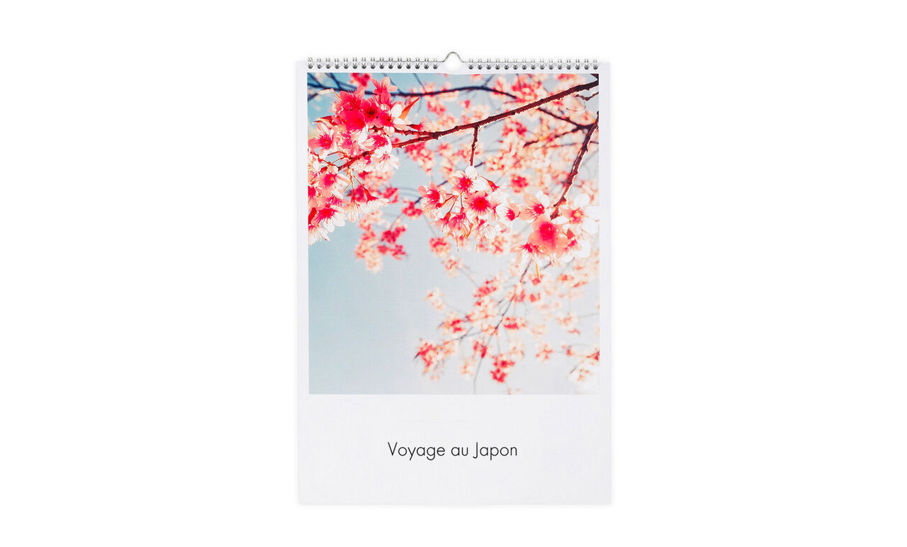 Un calendrier photo CEWE montre des fleurs de cerisier en fleurs au Japon